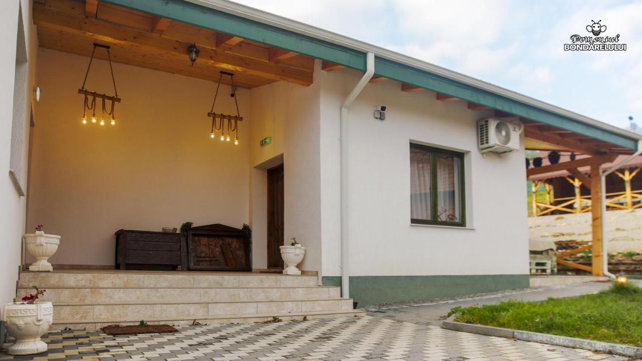 Domeniul Bondarelului Ocolisu Mic Exterior foto