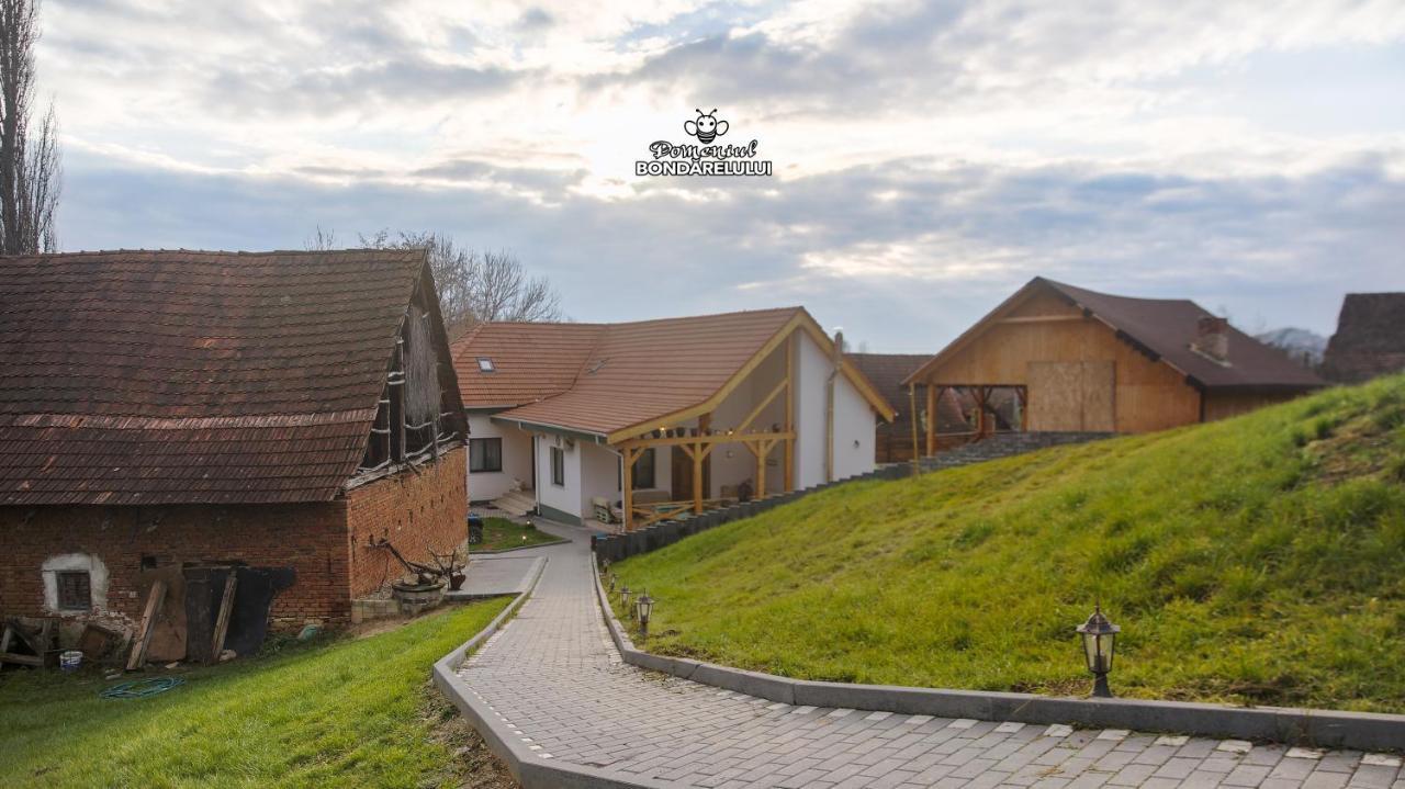 Domeniul Bondarelului Ocolisu Mic Exterior foto