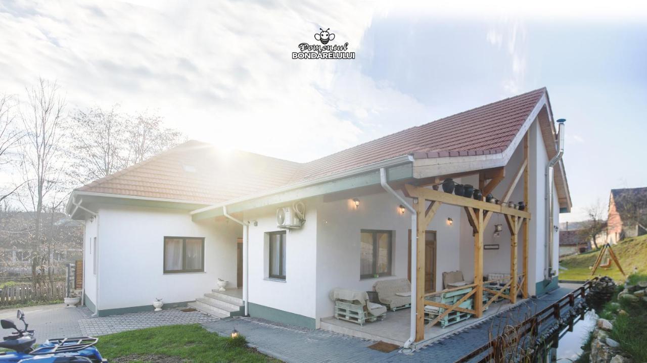 Domeniul Bondarelului Ocolisu Mic Exterior foto