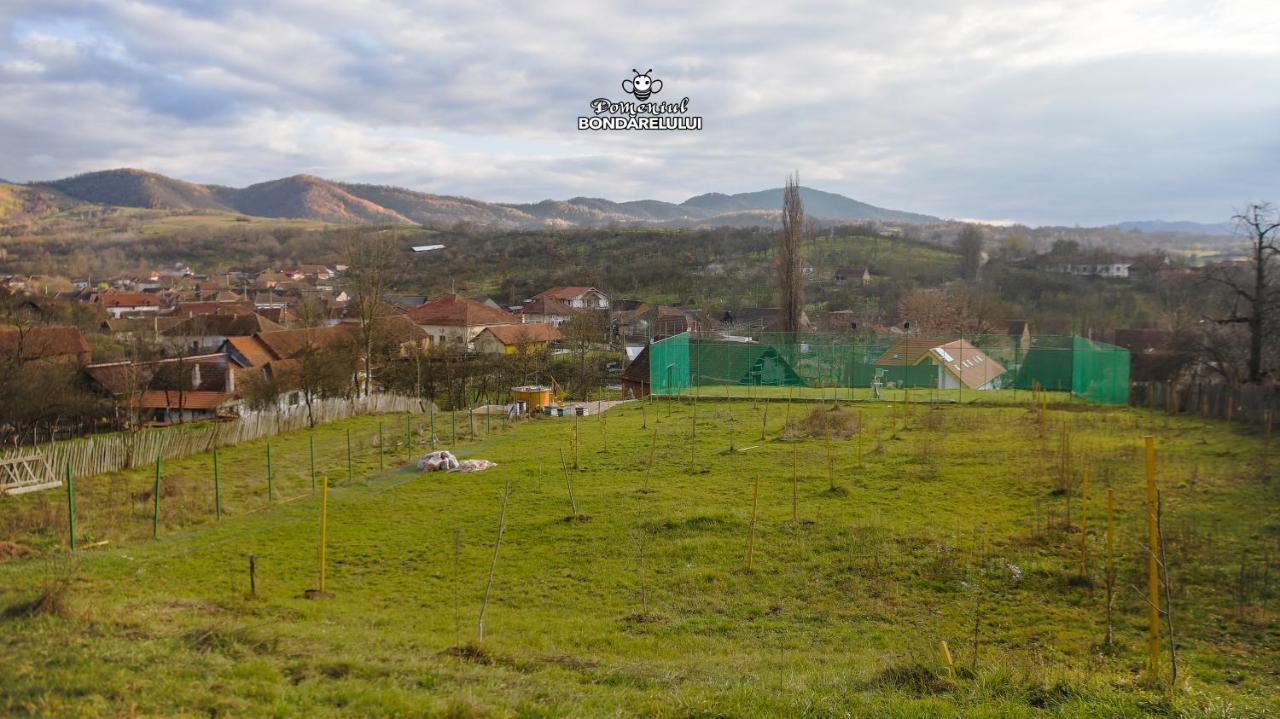 Domeniul Bondarelului Ocolisu Mic Exterior foto