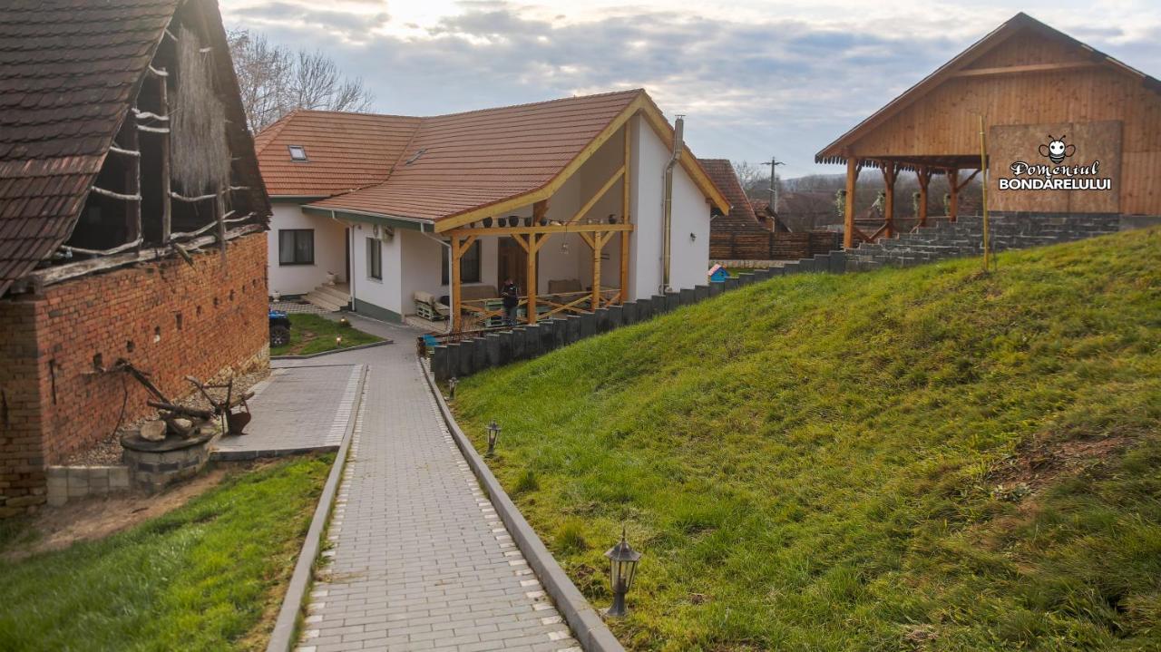 Domeniul Bondarelului Ocolisu Mic Exterior foto