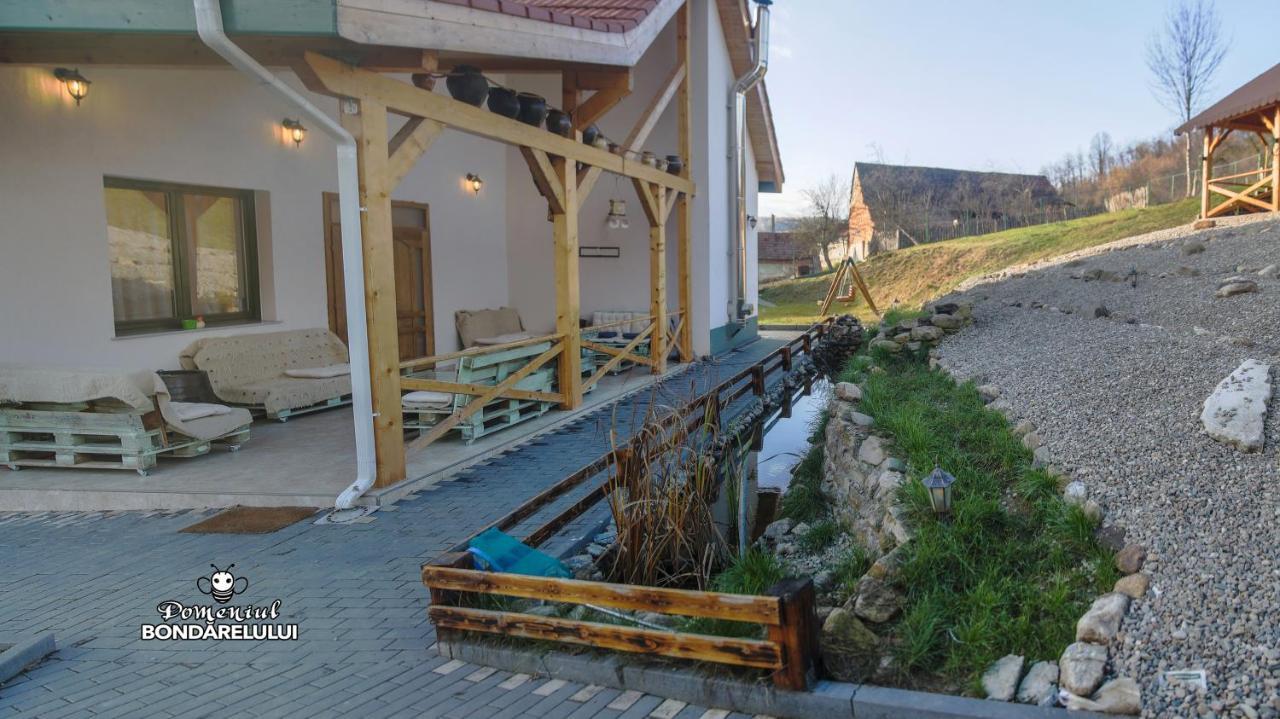 Domeniul Bondarelului Ocolisu Mic Exterior foto