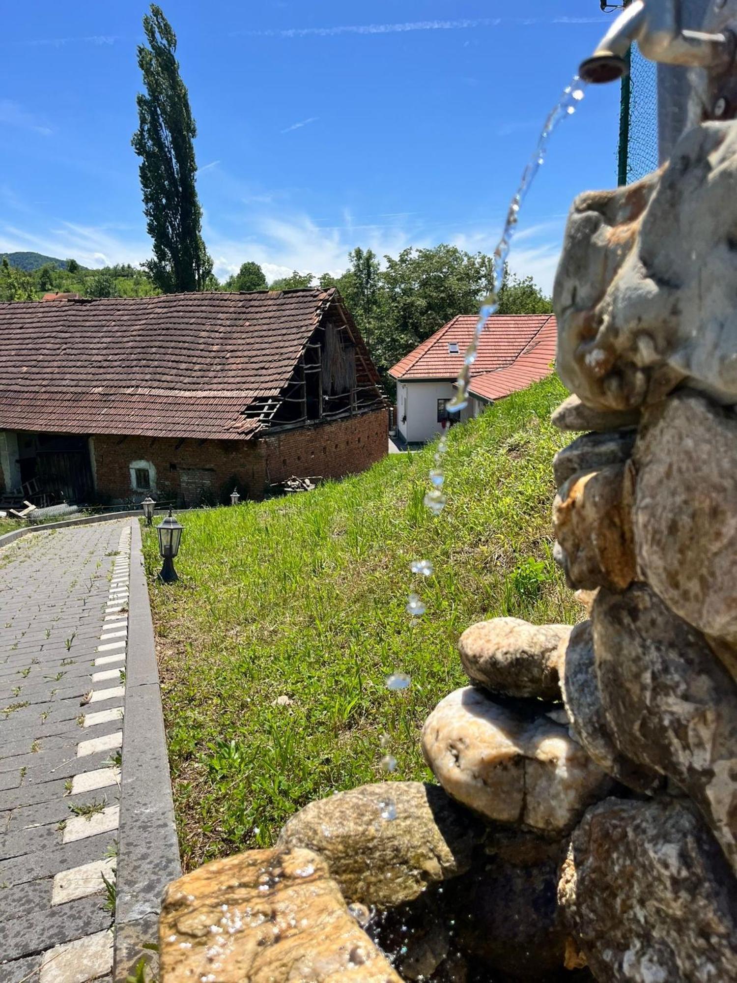 Domeniul Bondarelului Ocolisu Mic Exterior foto